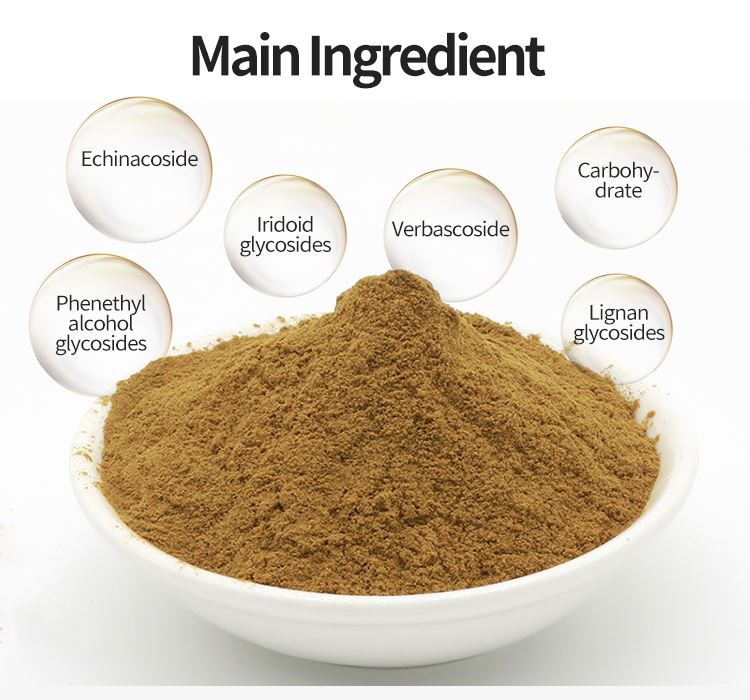 cistanche extract