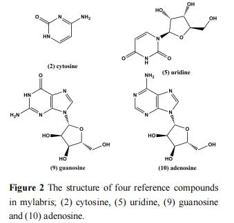 2 The structure of four reference compounds in mylabris; (2) cytosine, (5) uridine, (9) guanosine and (10) adenosine. 2 The structure of four reference compounds in mylabris; (2) cytosine, (5) uridine, (9) guanosine and (10) adenosine.