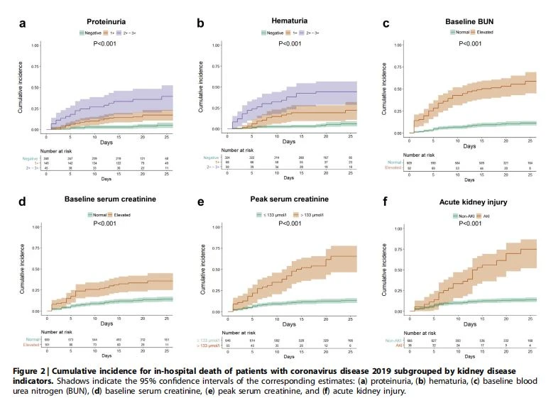 Cumulative incidence for in-hospital death of patients with coronavirus disease 2019 subgrouped by kidney disease indicators. Cumulative incidence for in-hospital death of patients with coronavirus disease 2019 subgrouped by kidney disease indicators.
