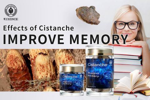 Cistanche-improve memory Cistanche-improve memory