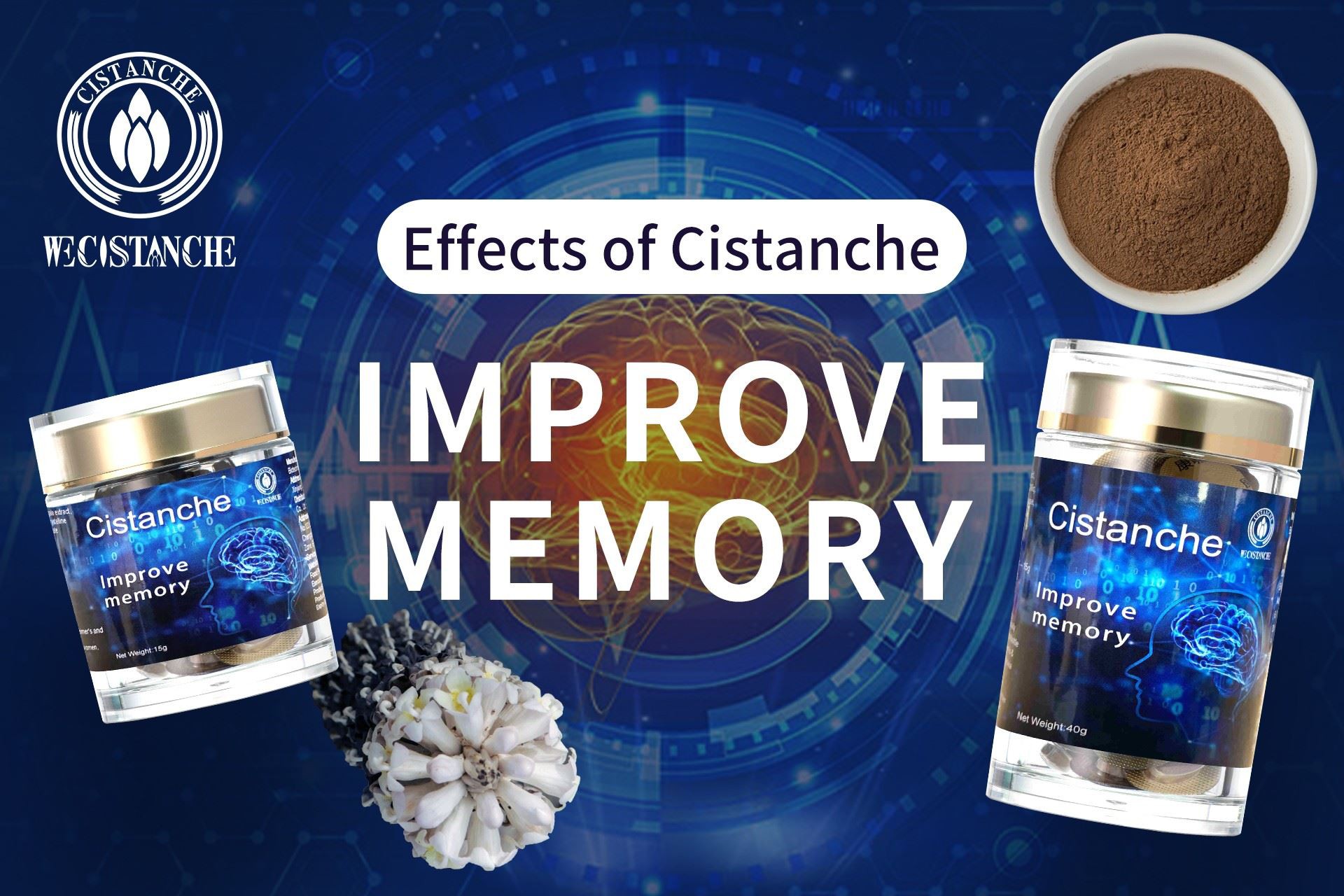 memory improvement Cistanche