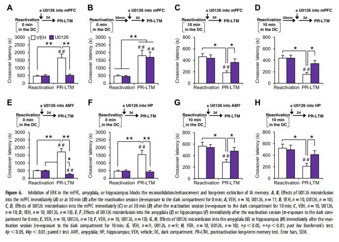Inhibition of ERK in the mPFC