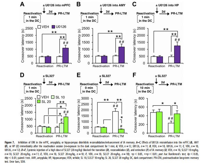 , amygdala, or hippocampus disinhibits