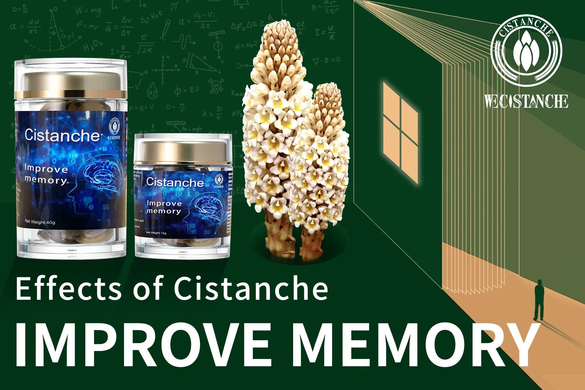 improve memory Cistanche effects