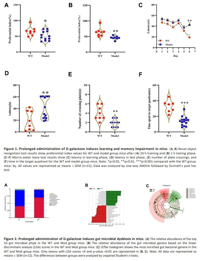 Figure 1. Prolonged administration of D-galactose induces learning and memory impairment in mice.Figure 2. Prolonged administration of D-galactose induces gut microbial dysbiosis in mice+Figure 2. Prolonged administration of D-galactose induces gut microbial dysbiosis in mice
