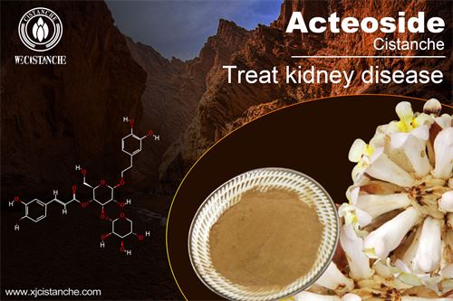 cistanche is good for choric kidney disease cistanche is good for choric kidney disease