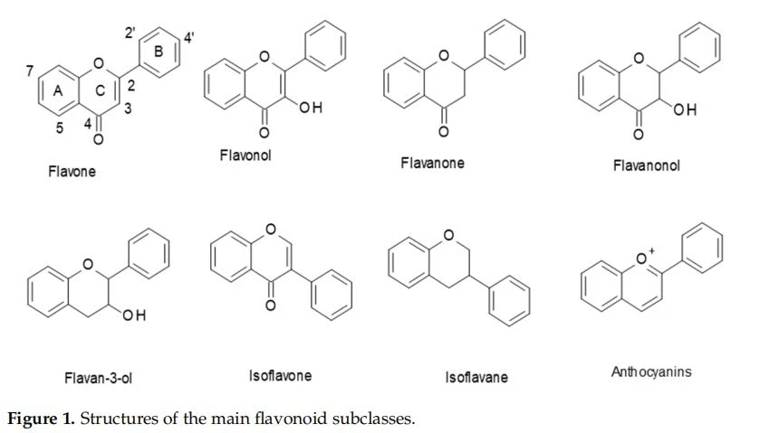  1. Structures of the main flavonoid