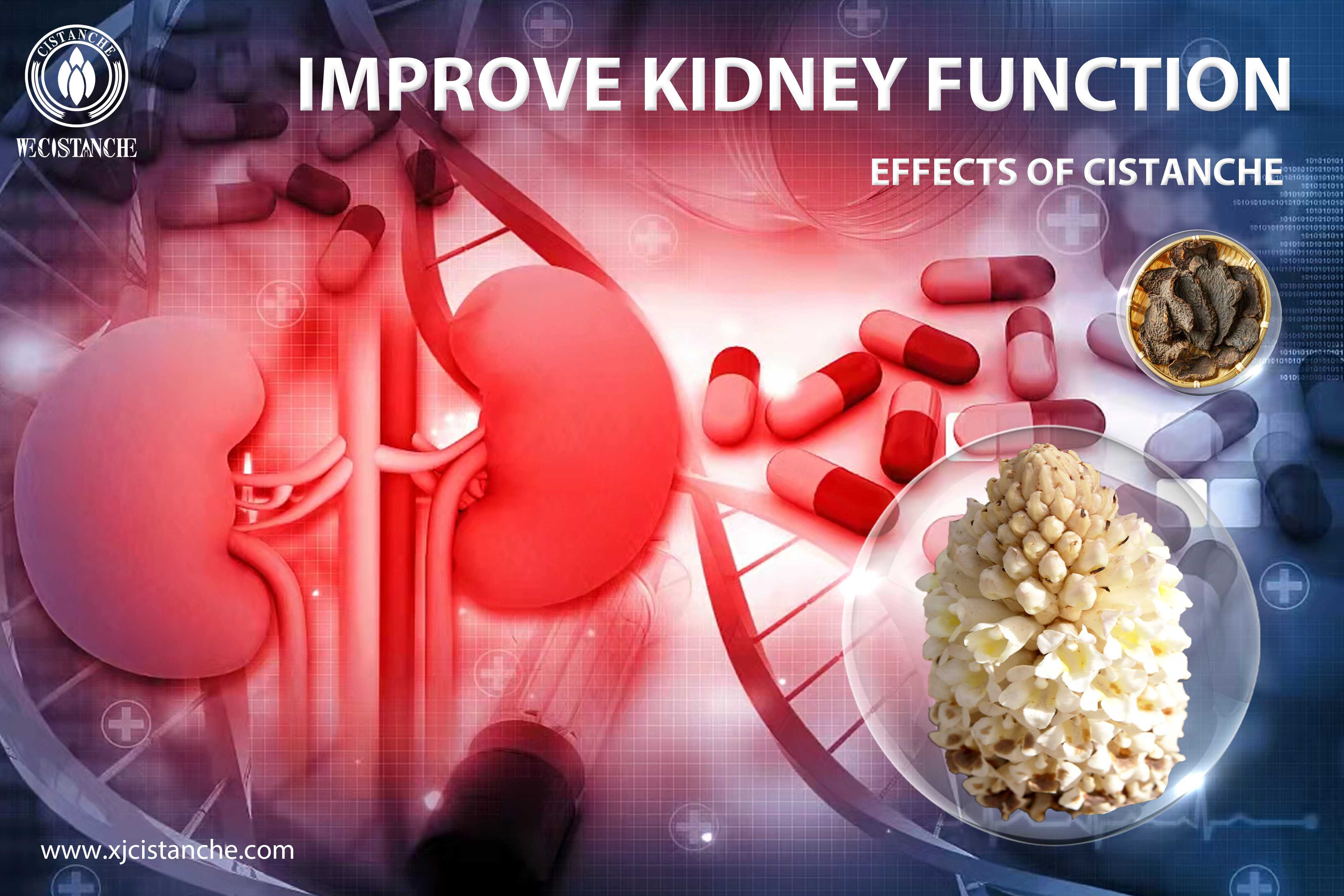 natural supplement for kidney natural supplement for kidney