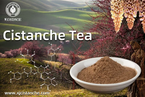 The best Cistanche tea