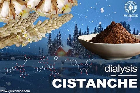 Cistanche-kidney dialysis-220