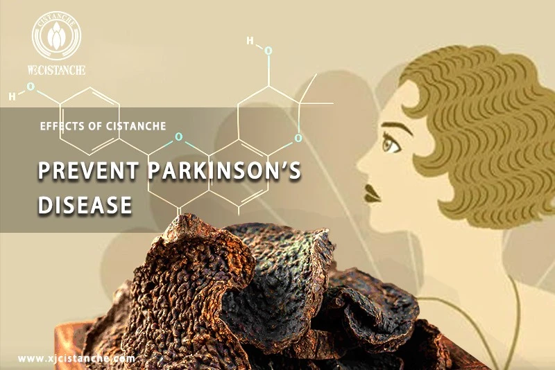 cistanche for sale Parkinson