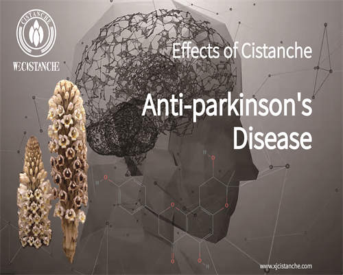 rou cong rong benefits