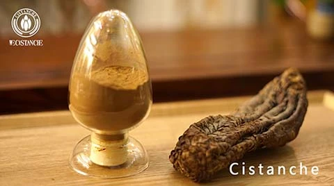 Is Cistanche Safety