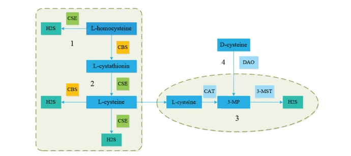 Figure 1 Figure 1