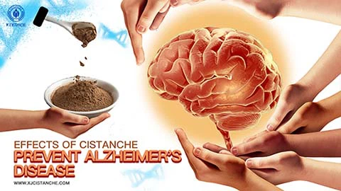neurodegenerative diseases herbs