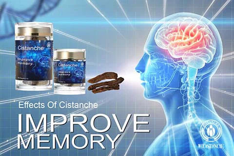 neurodegenerative diseases herbs