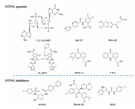 Figure 1. Representative STING modulators