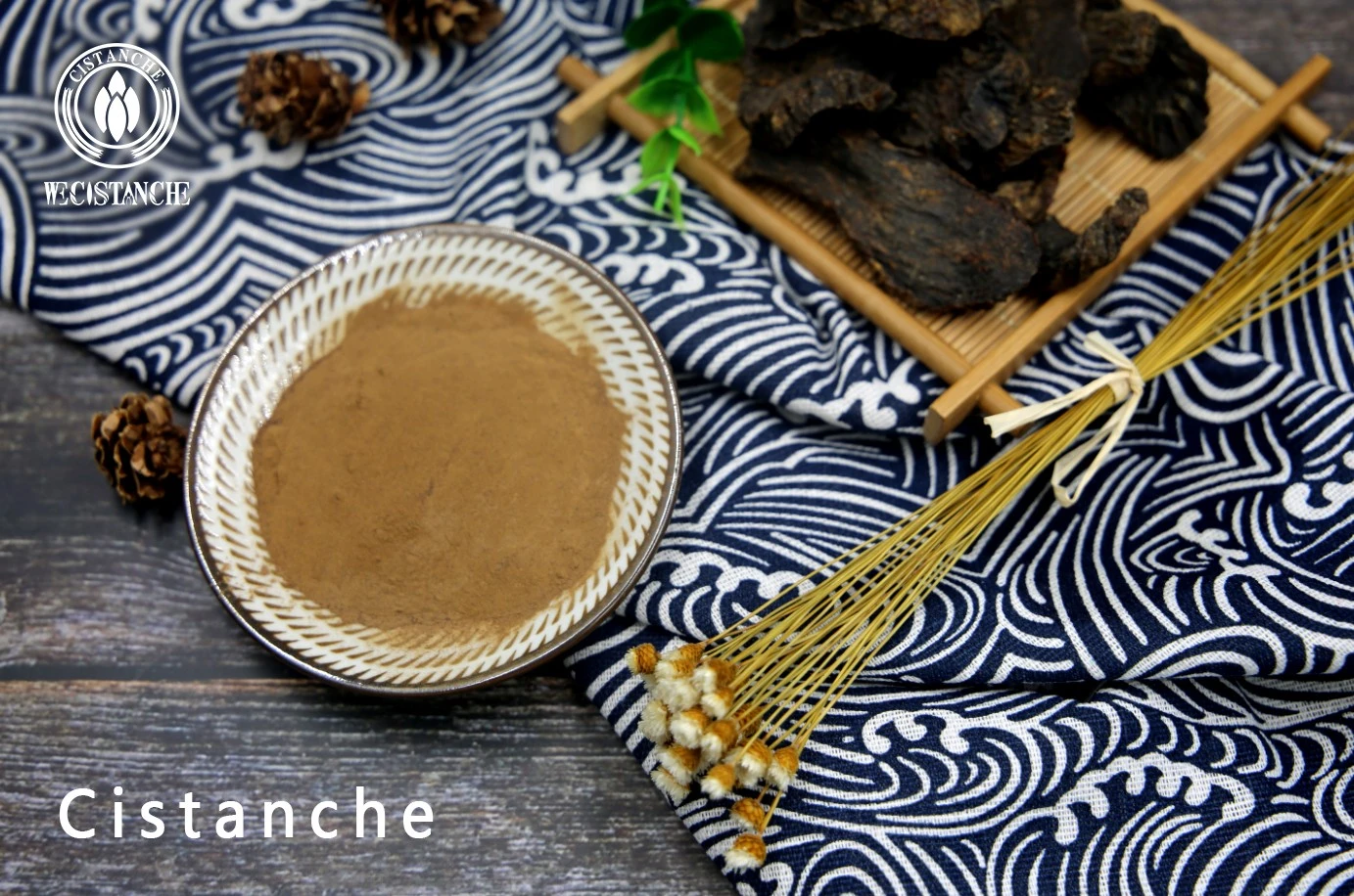 Cistanche tububosa extract