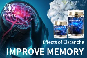 memory enhancement memory enhancement