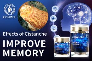 improve memory