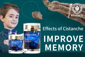 short term memory how to improve