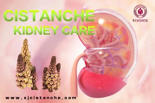 kidney care kidney care