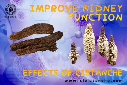 improve kidney function improve kidney function